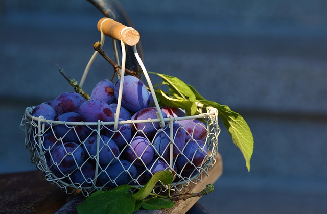 berries in wicker basket summer harvest orchard stand